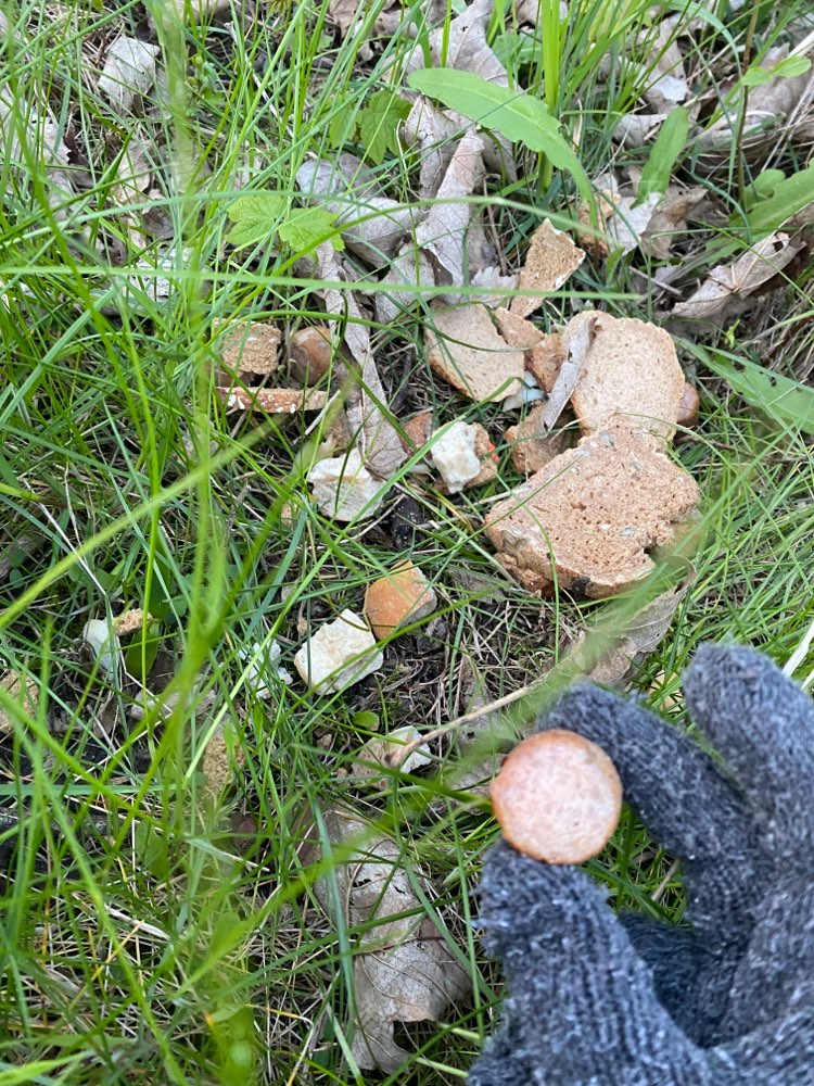 Giftköder-Verdacht auf Giftköder-Profilbild