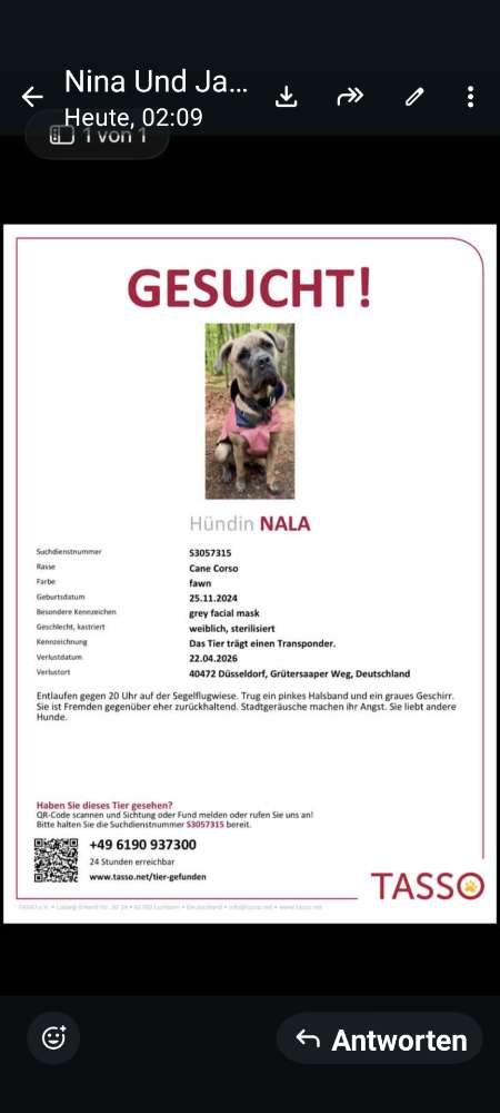 Suchmeldung-Nala-Profilbild