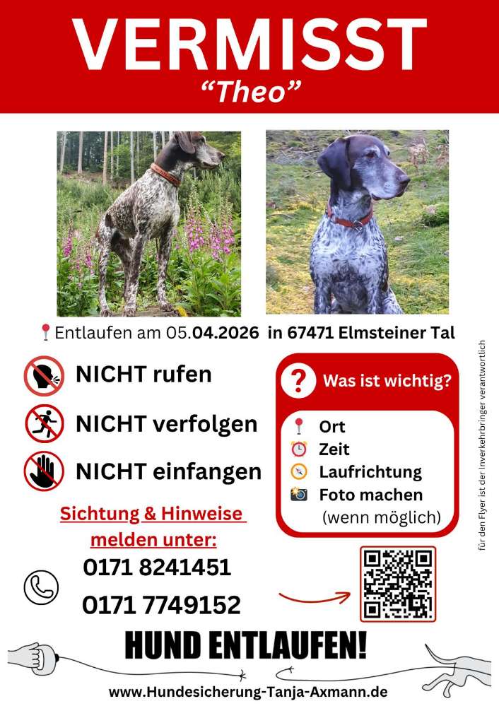 Suchmeldung-Theo-Profilbild