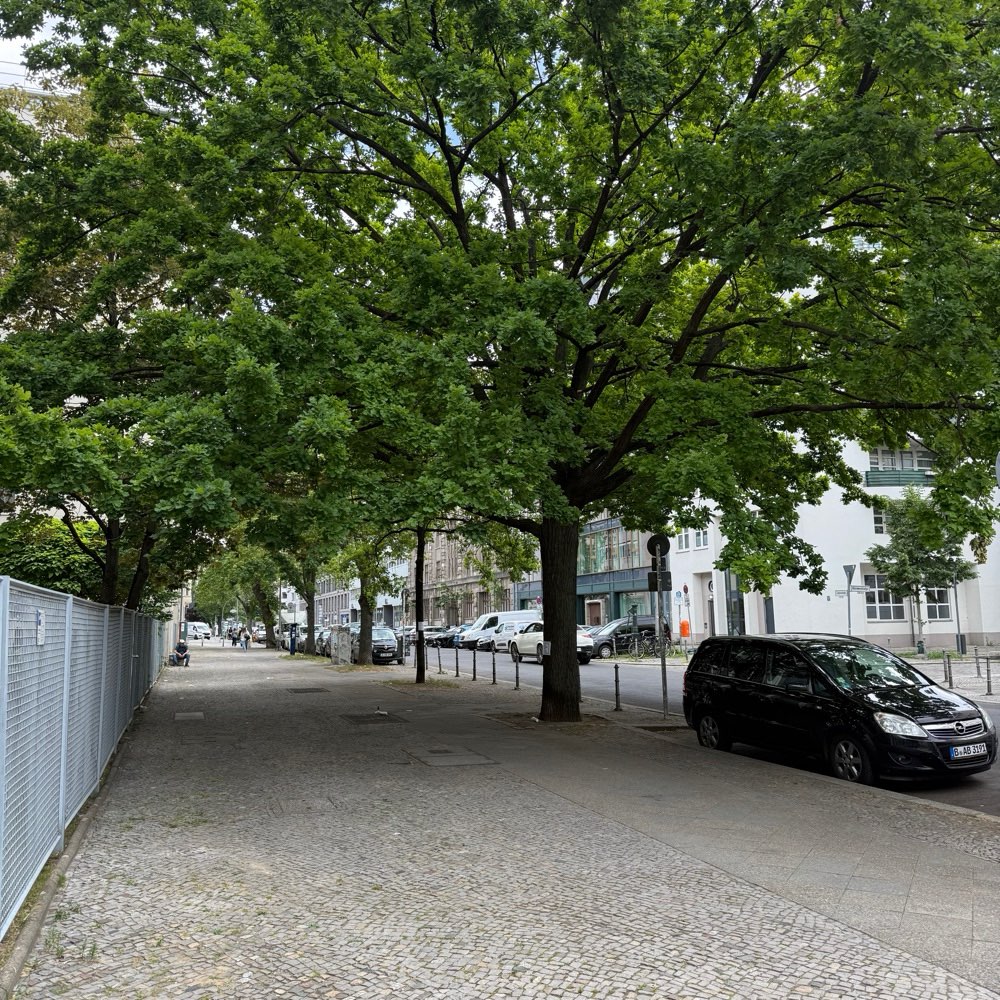 Giftköder-Eichenprozessionsspinner-Profilbild