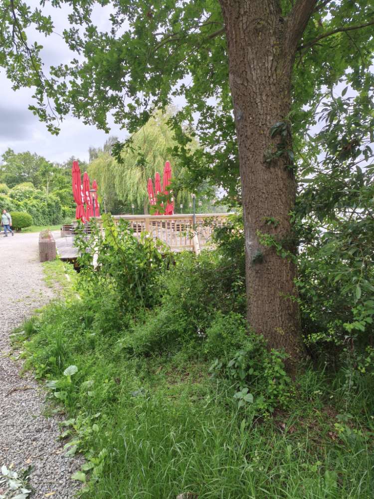Giftköder-EPS beim Il Lago und rund um den See-Profilbild