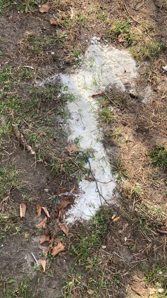 Giftköder-Weißes Pulver-Profilbild