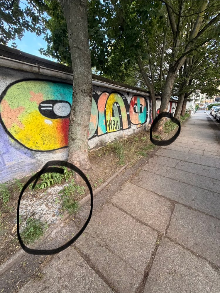 Giftköder-Giftköder/Schneckenkorn-Profilbild