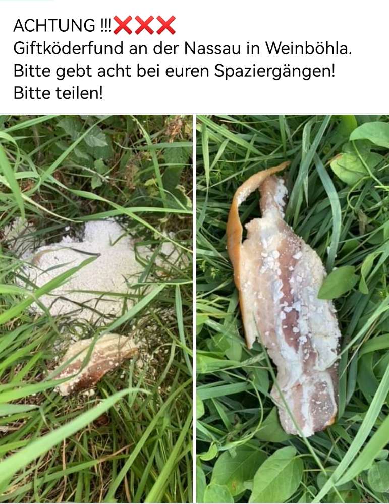 Giftköder-Giftköder-Profilbild