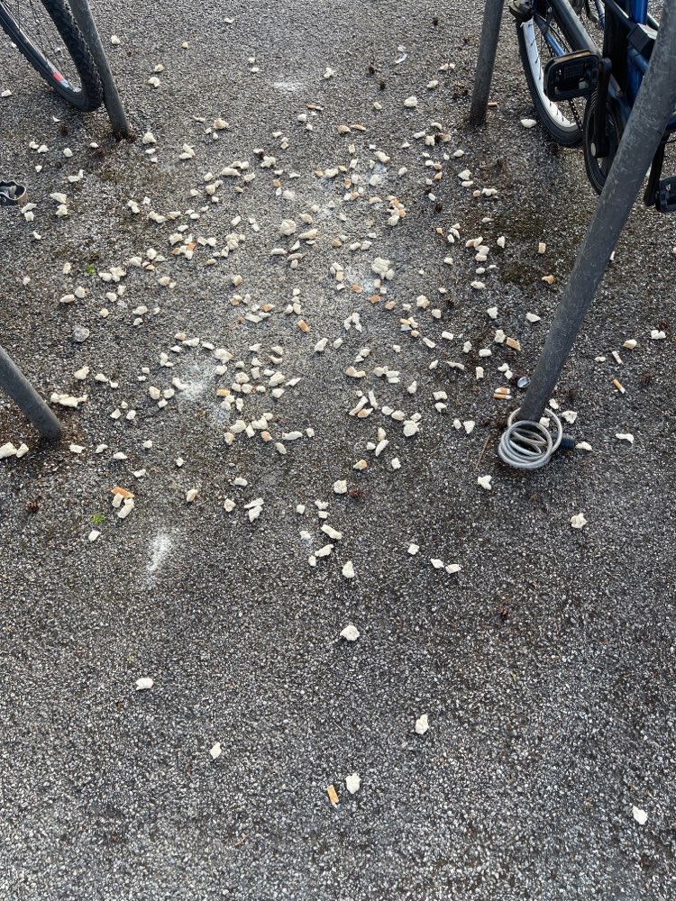 Giftköder-Brot mit Rattengift-Profilbild
