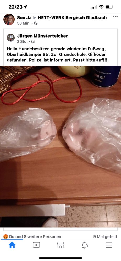 Giftköder-Giftköder-Profilbild