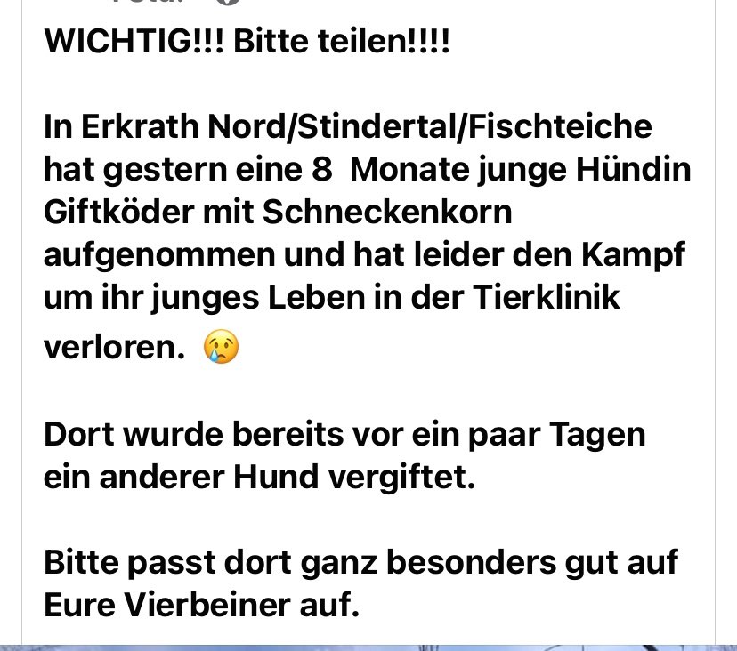 Giftköder-Giftköder mit Schneckenkorn-Profilbild