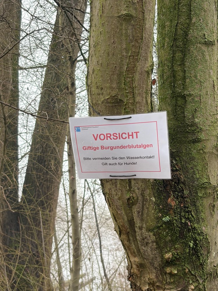 Giftköder-Warnung vor Burgunderblutalgen am Menzel-Profilbild