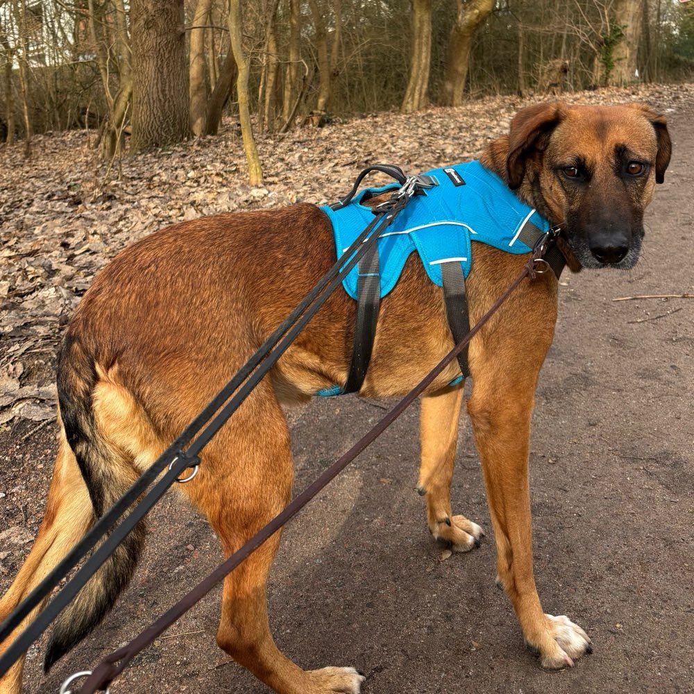 Suchmeldung-Naia-Profilbild