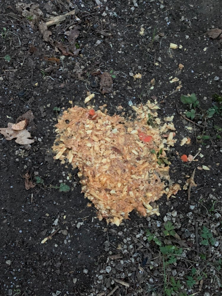 Giftköder-Futter im Wald-Profilbild