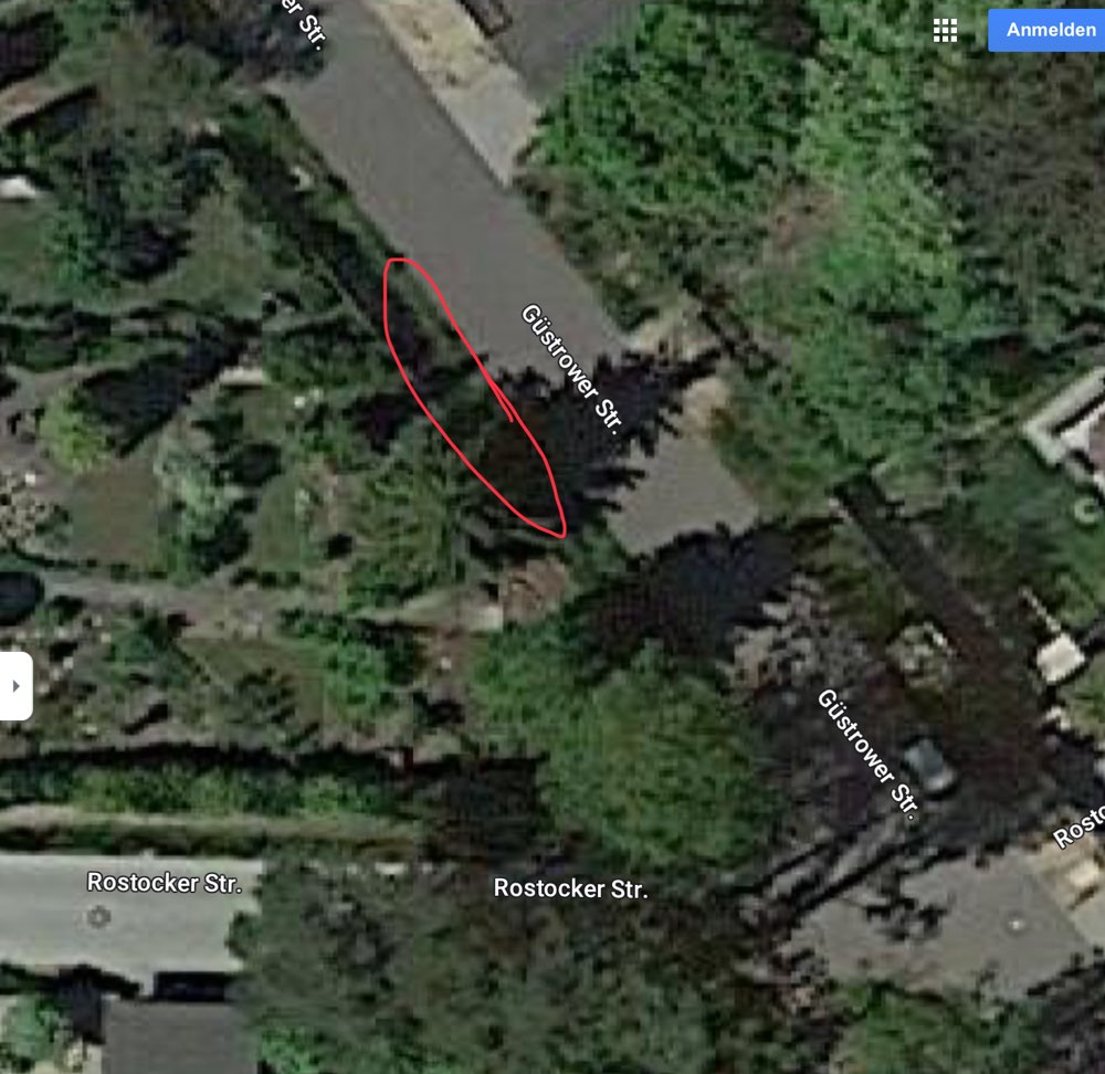 Giftköder-2 tote Ratten (vermutlich vergiftet)-Profilbild