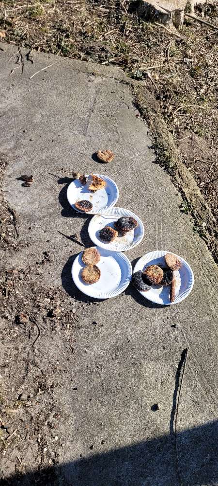 Giftköder-Essensreste-Profilbild