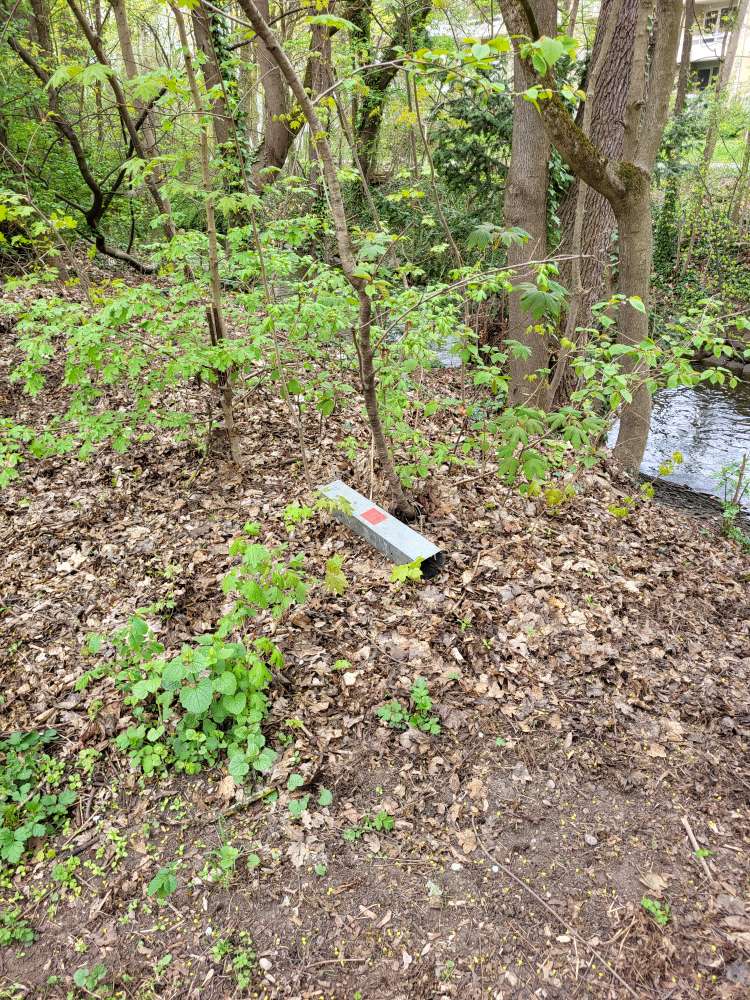 Giftköder-Rattenfallen-Profilbild