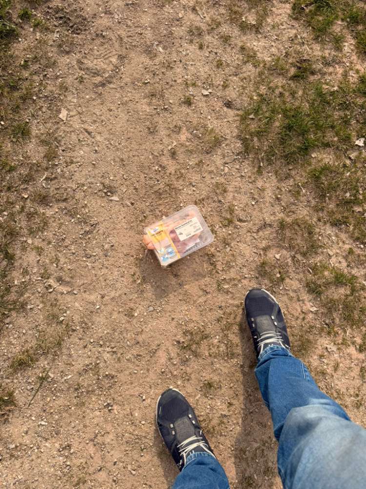 Giftköder-Giftköder?! Offene Packung Hähnchenbrust-Profilbild