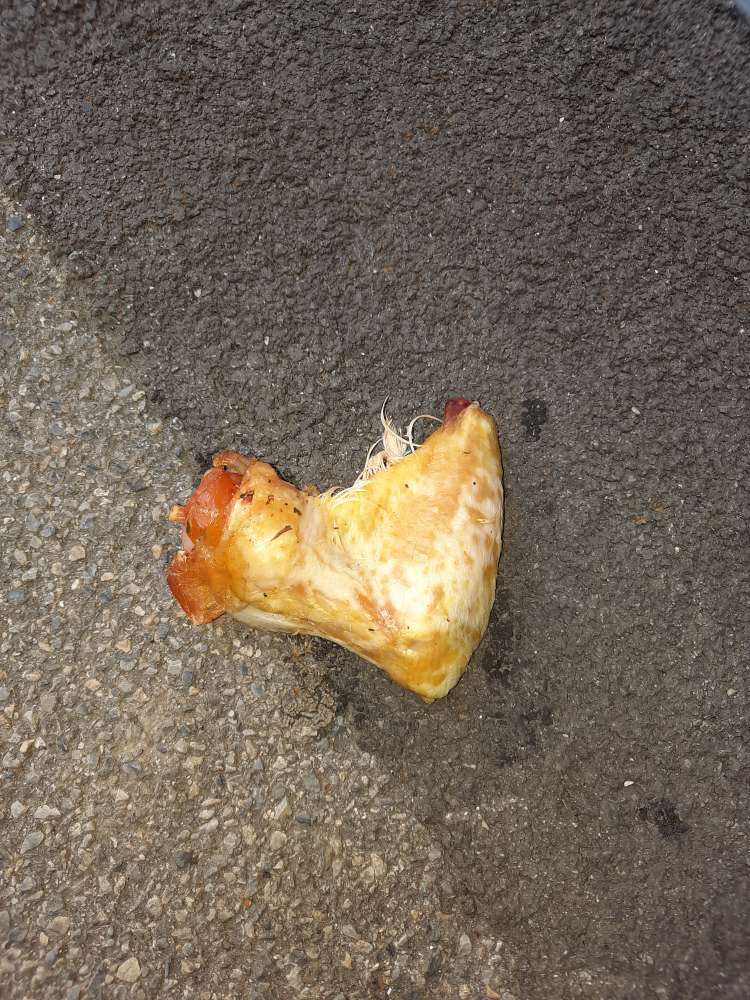 Giftköder-Giftköder-Profilbild