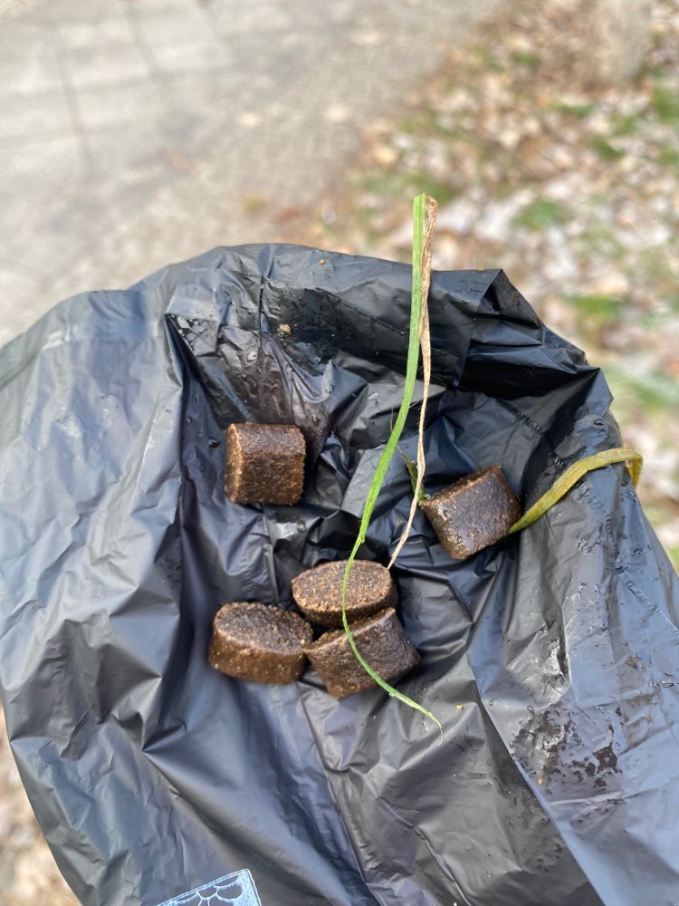 Giftköder-Leckerli unter Gras versteckt-Profilbild