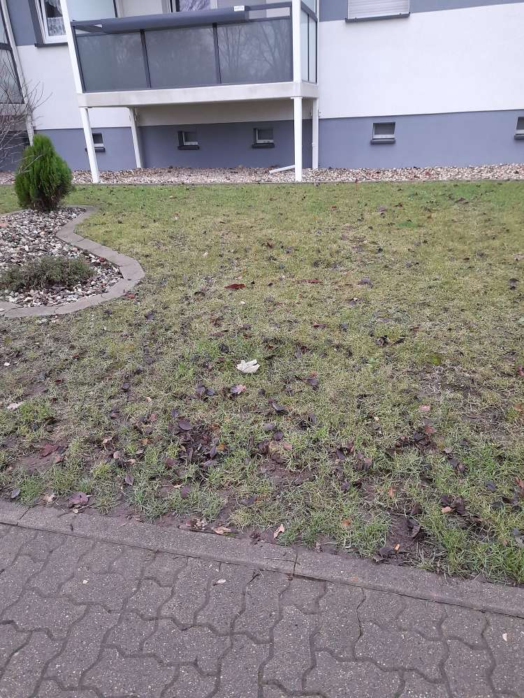 Giftköder-Eventuell Giftköder-Profilbild