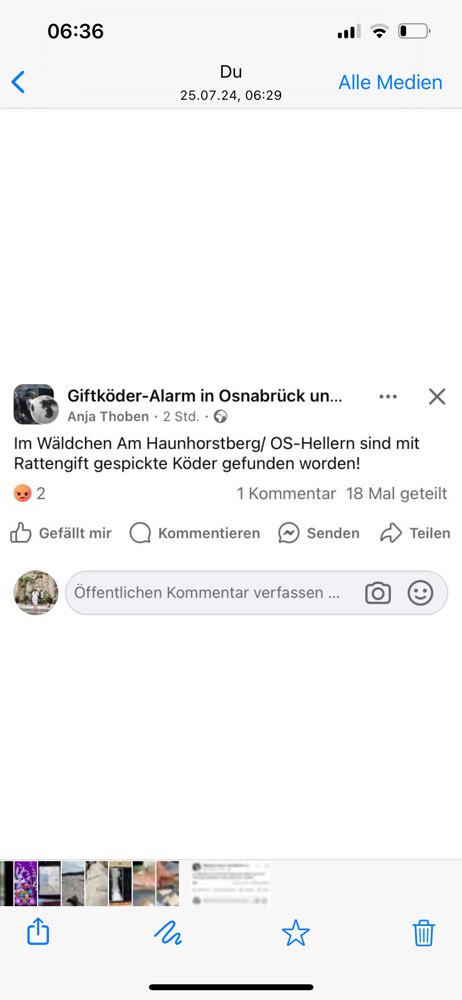 Giftköder-Giftköder-Profilbild