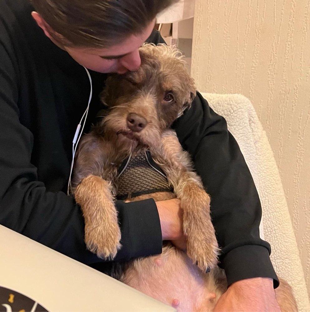 Hundetreffen-Freunde für Luna gesucht 🐶-Profilbild