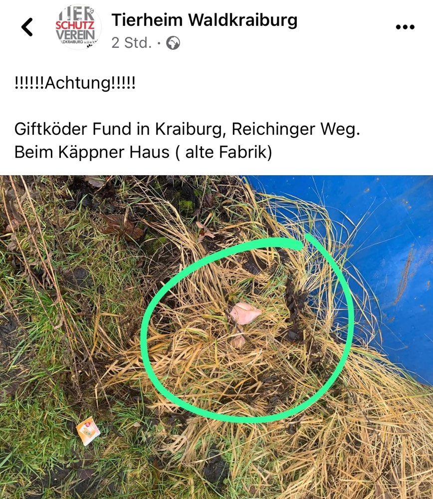 Giftköder-Vermutlich Giftköder-Profilbild