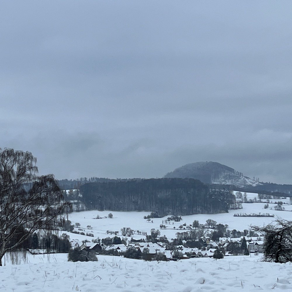 Hundetreffen-Junghunde Gassi / Spiel treffen-Profilbild
