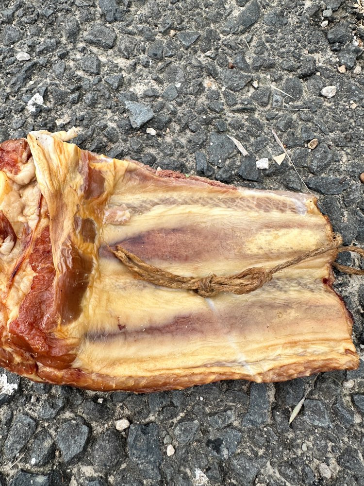 Giftköder-Nagelköder-Profilbild