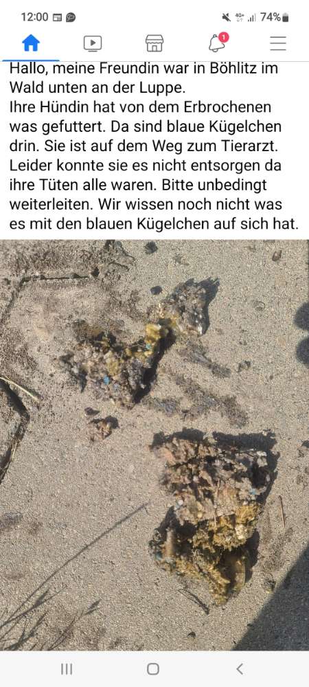 Giftköder-Schneckenkorn/Rattengift-Profilbild