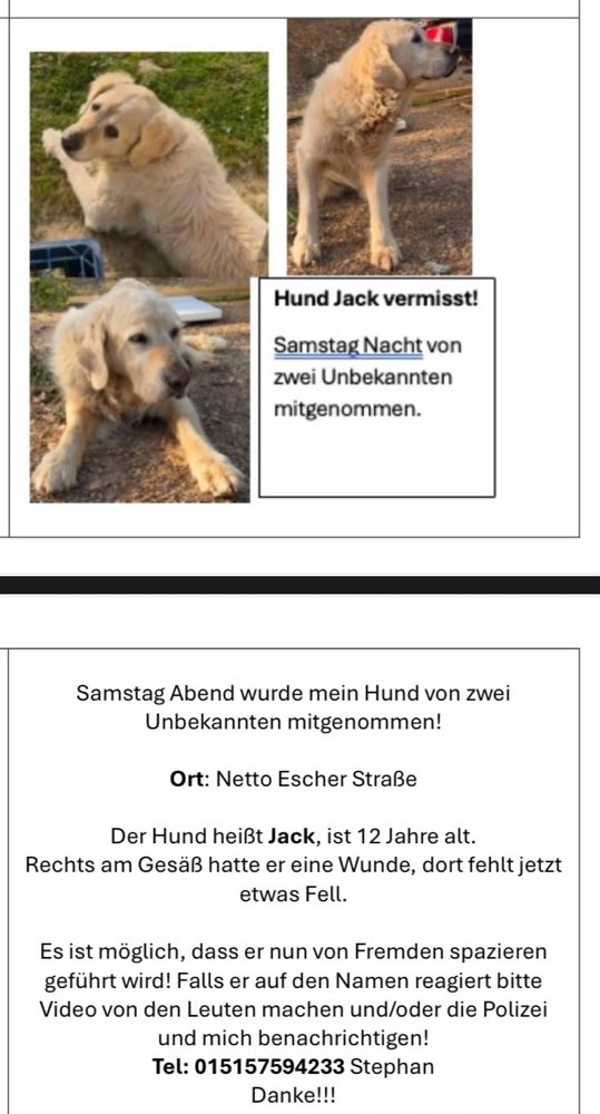 Suchmeldung-Jack-Profilbild