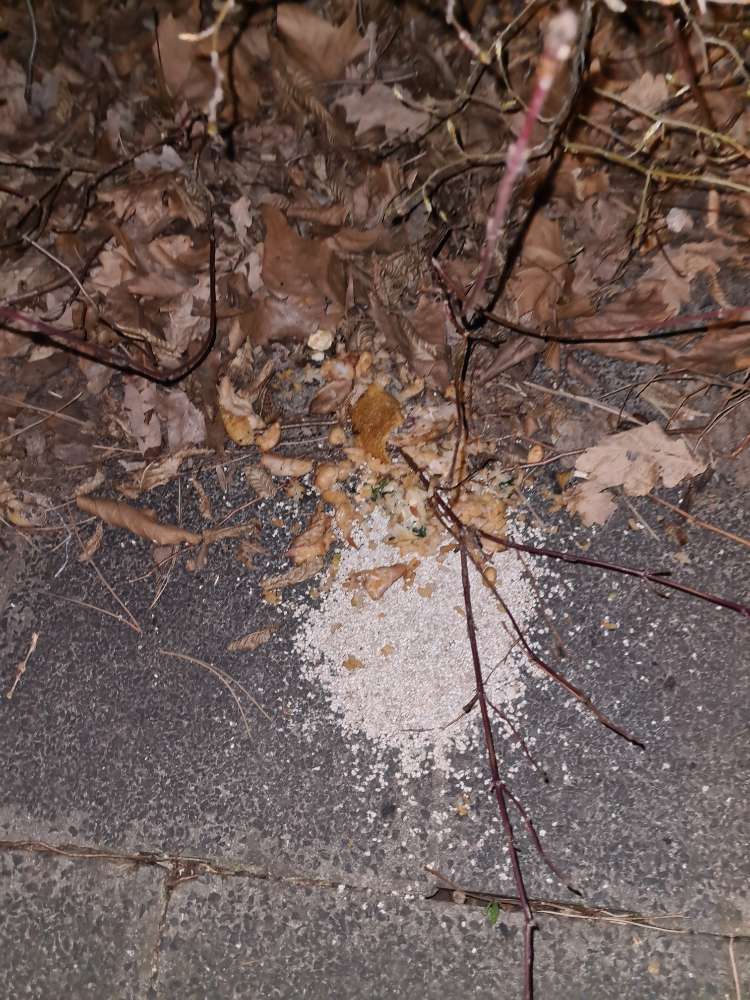 Giftköder-Evtl Giftköder-Profilbild