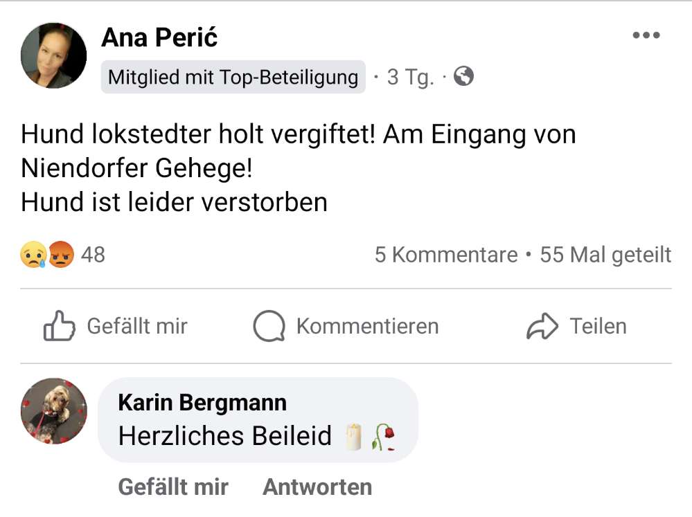 Giftköder-Giftköder-Profilbild