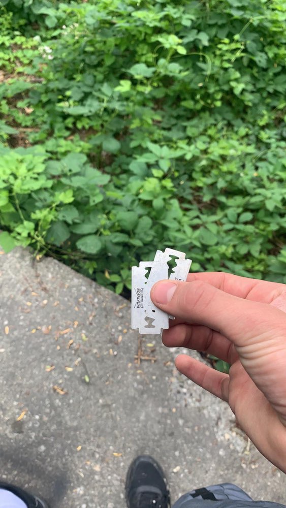 Giftköder-Rasierklingen (eingesammelt)-Profilbild