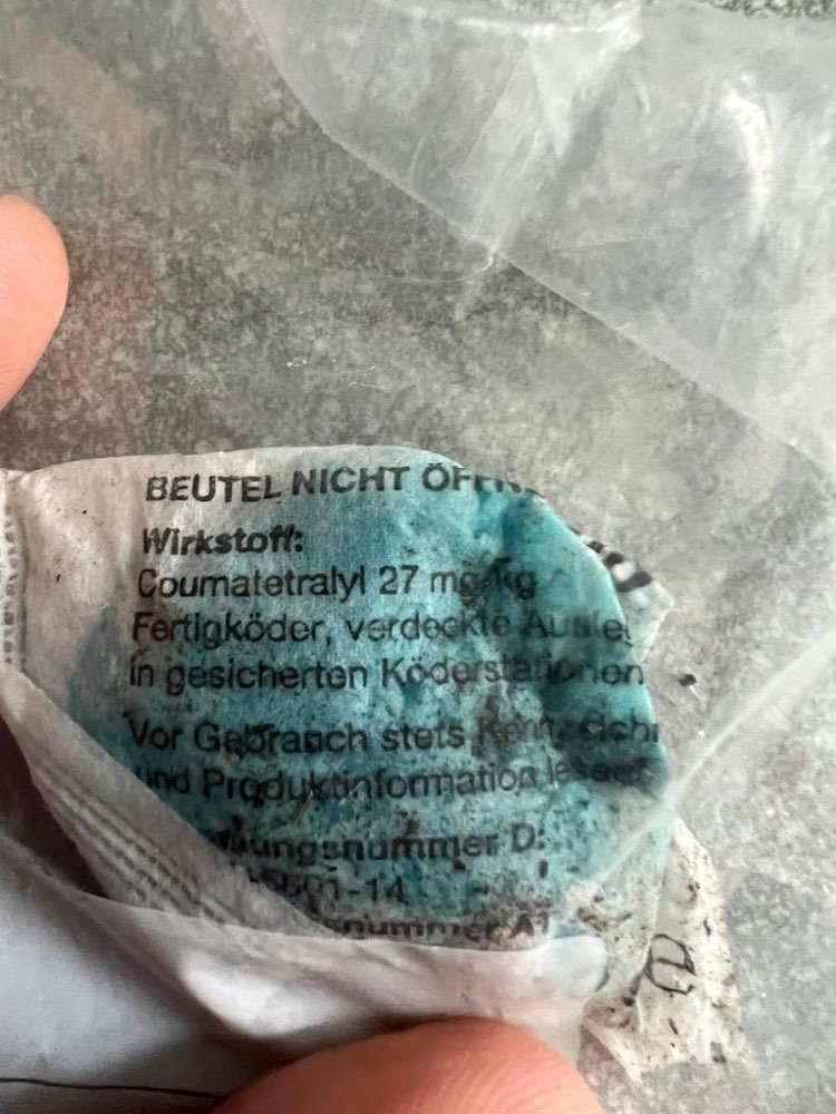 Giftköder-Rattengift-Profilbild