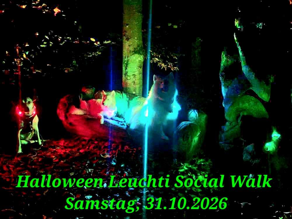 Hundetreffen-Kontaktfreier Halloween Leuchti Social Walk 🎃-Profilbild