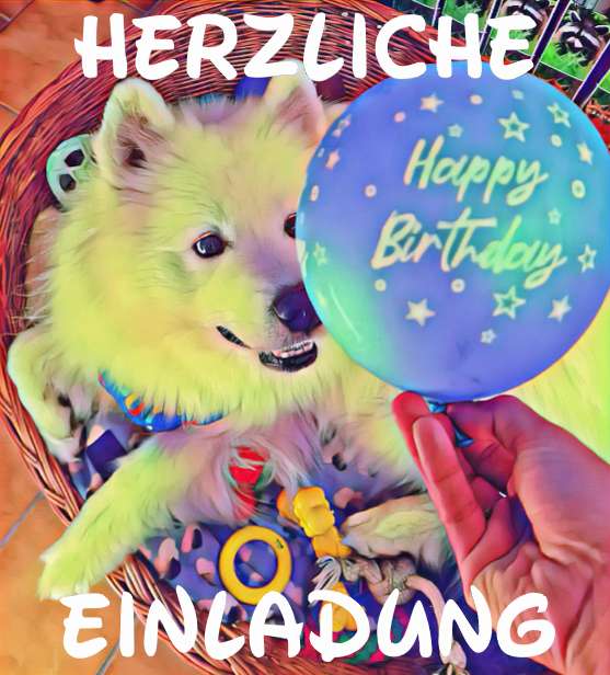 Hundetreffen-May the 4th (Birthday) be with you, my friends! 🐾🎁-Profilbild