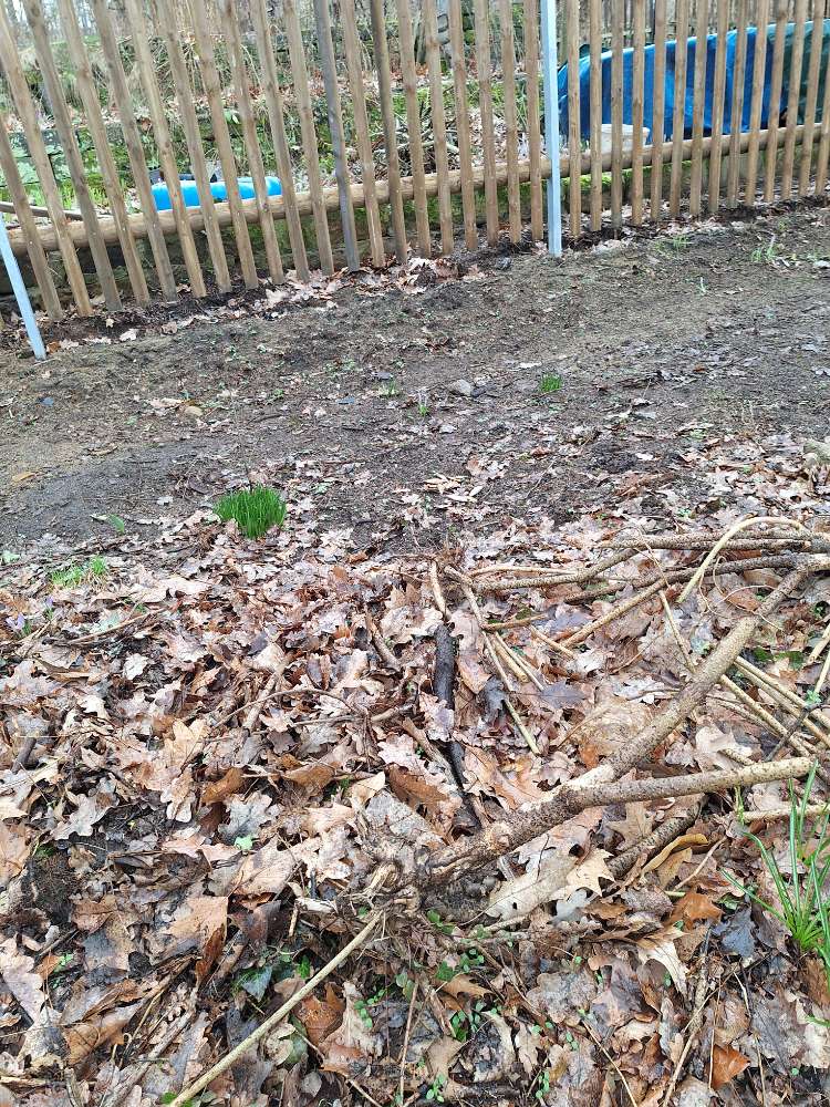 Giftköder-Giftköder(vermutlich)-Profilbild