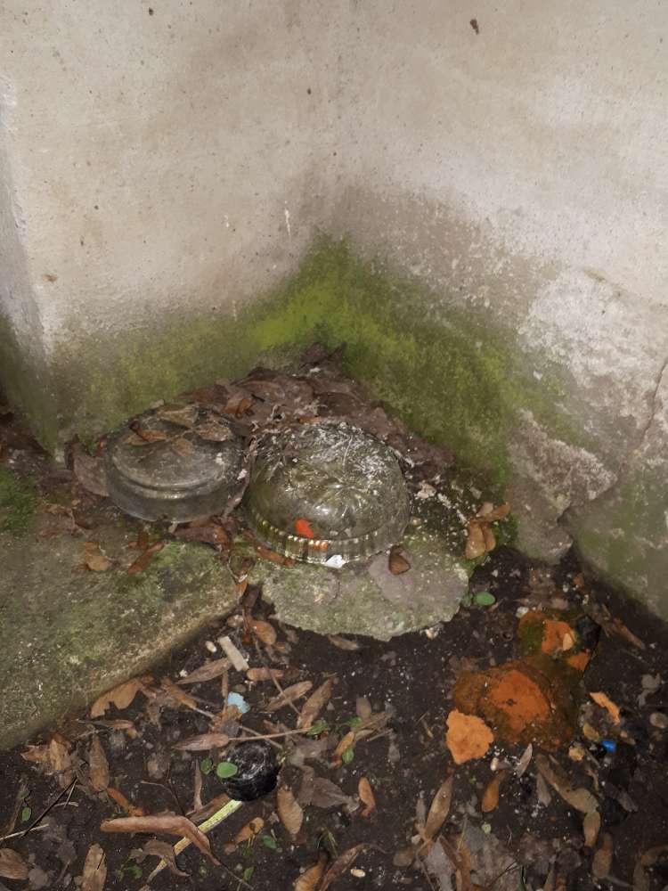 Giftköder-Verdacht auf Giftköder-Profilbild