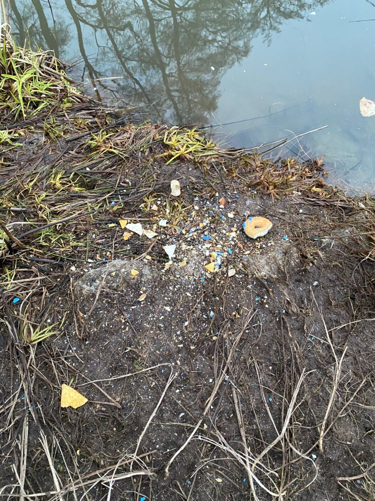 Giftköder-Giftköder-Profilbild