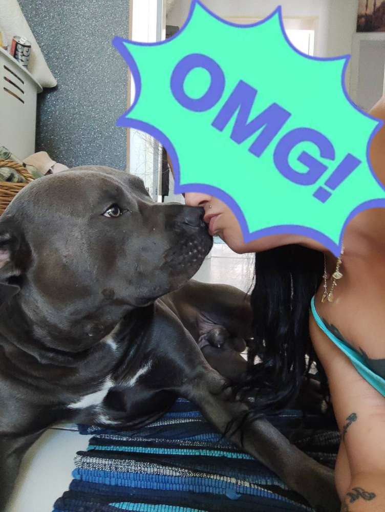 Hundetreffen-Die frische Luft genießen mit den Hunden-Profilbild