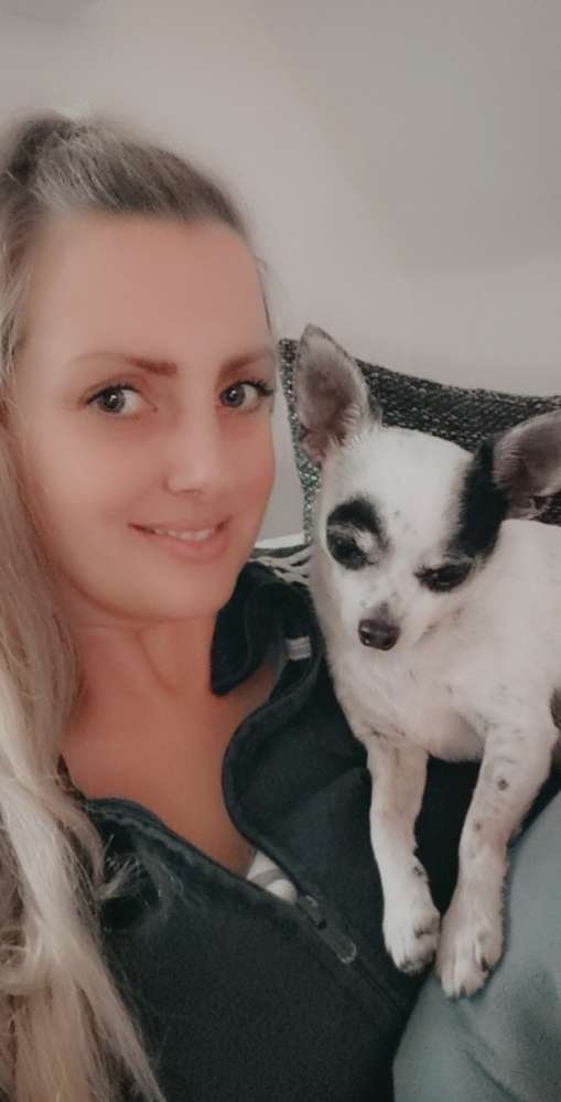 Hundetreffen-'Zwergentreff'-Profilbild