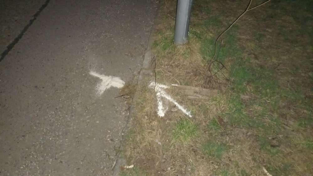 Giftköder-UPDATE 6.3. - Weisses Pulver-Profilbild