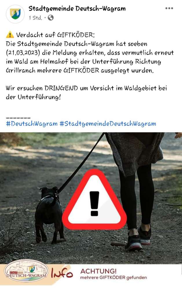 Giftköder-Giftköder im Wald zur Grillranch-Profilbild