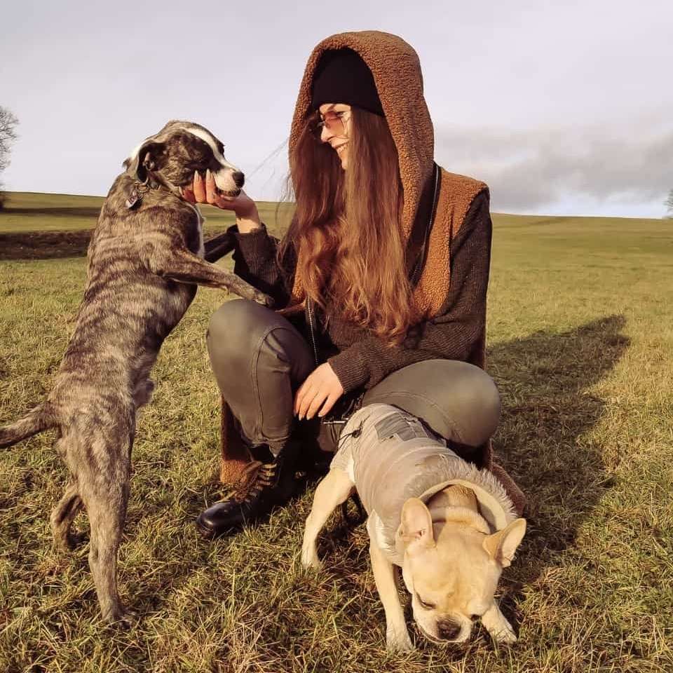 Hundetreffen-Spazieren / Trainieren / Spielen-Profilbild