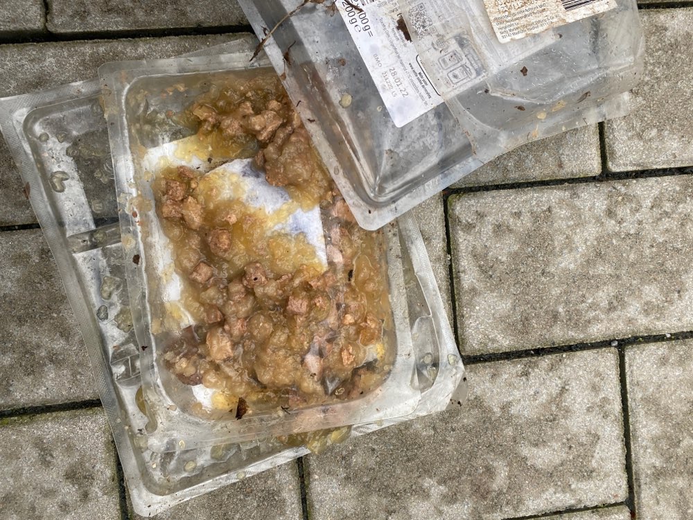 Giftköder-Platziertes Nassfutter-Profilbild