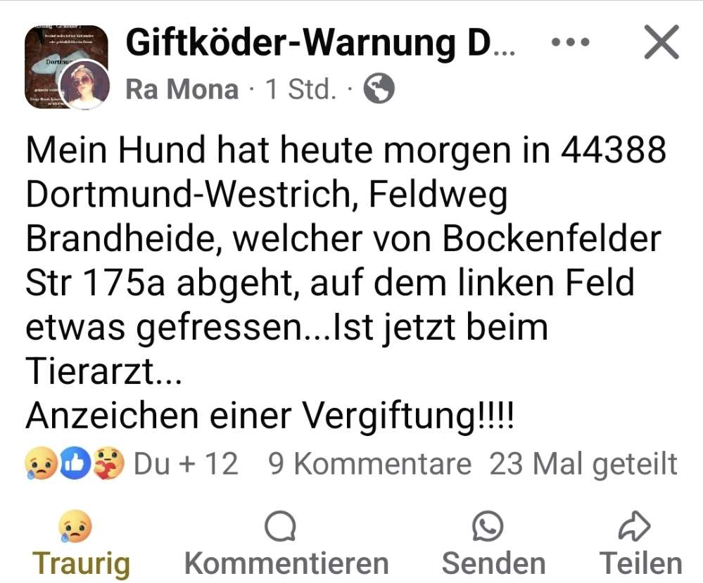 Giftköder-Giftköder-Profilbild