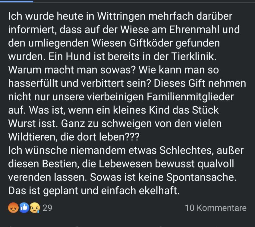 Giftköder-Giftköder-Profilbild