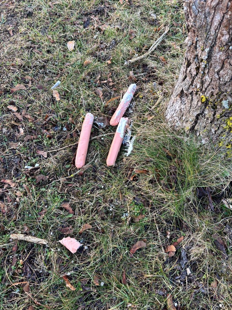 Giftköder-Giftköder-Profilbild