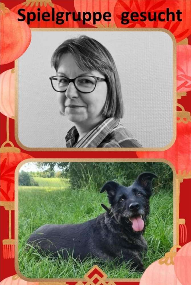 Hundetreffen-Wochenendtreffen-Profilbild