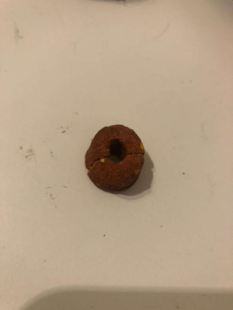 Giftköder-Verdächtiges Hundefutter-Profilbild