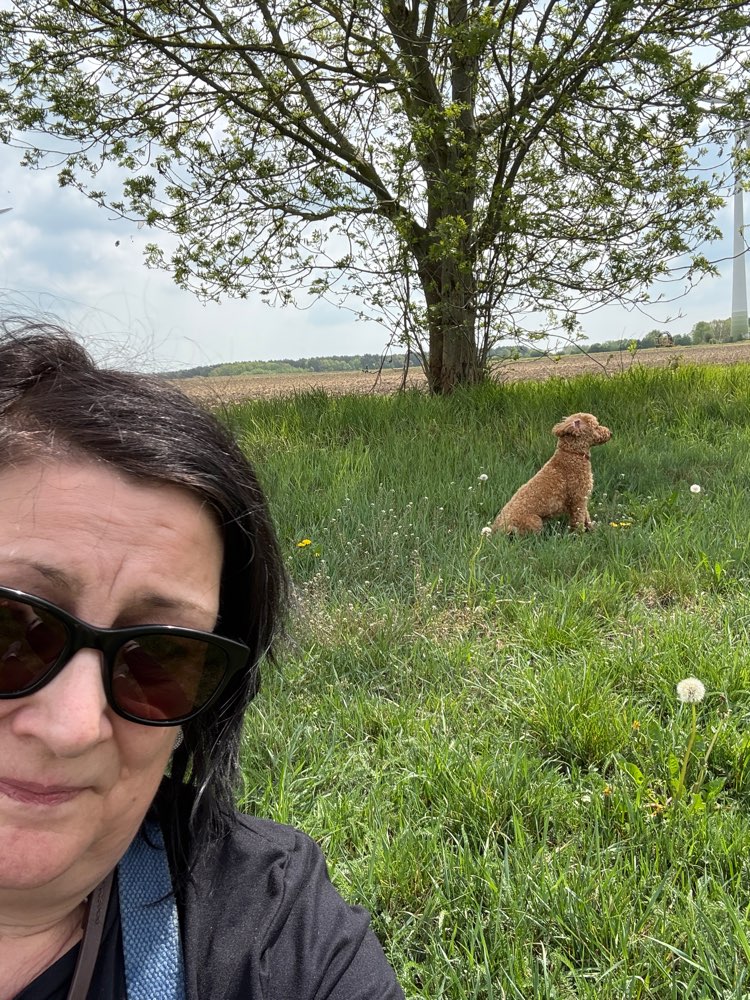 Hundetreffen-Treffen und Runde in Wandlitz und Umgebung-Profilbild