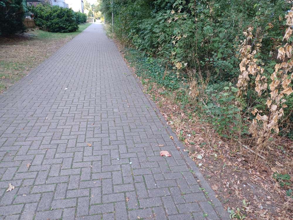 Giftköder-Fleisch auf dem Gehweg verteilt-Profilbild